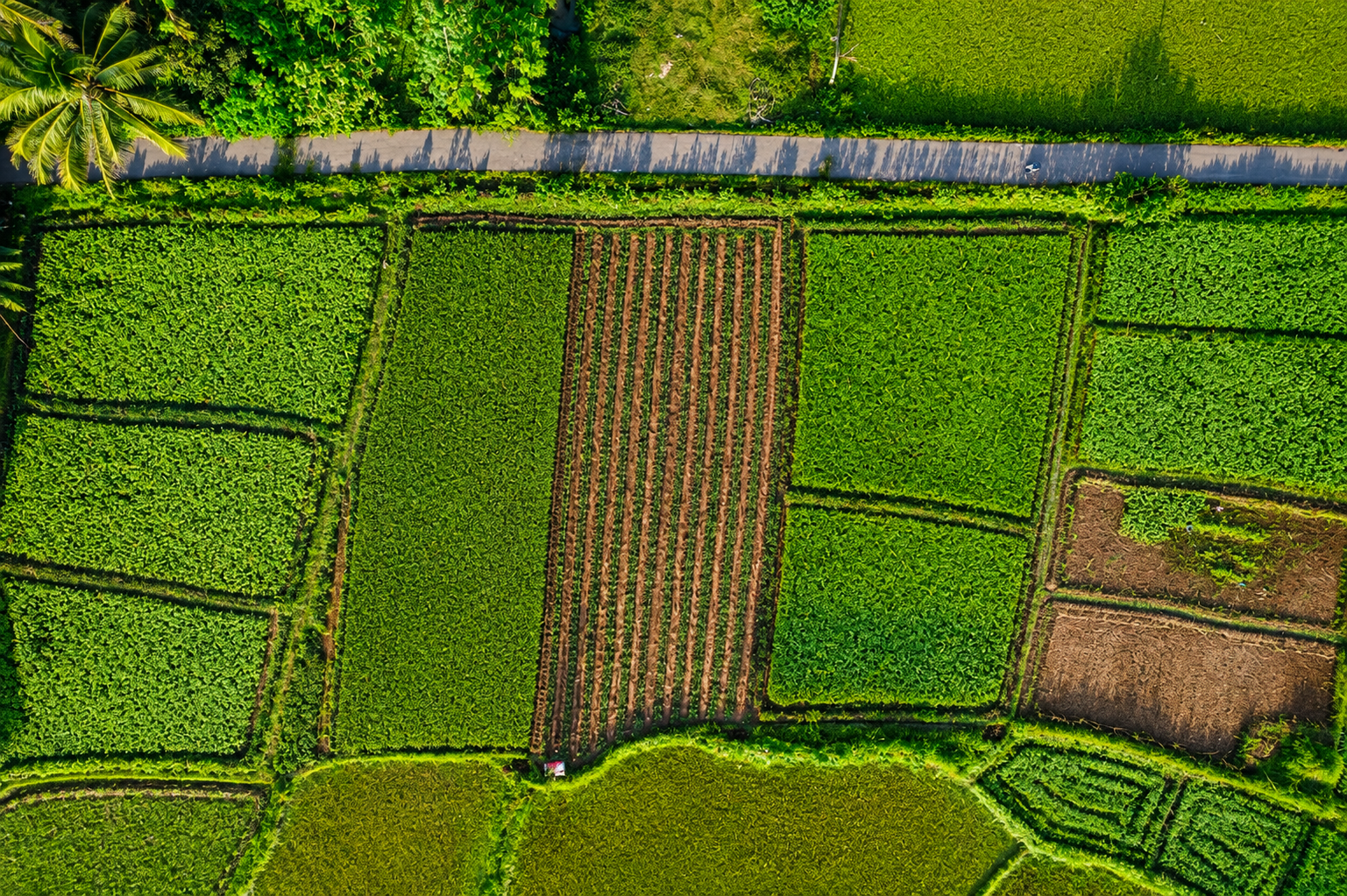 Agro Nature agricultural operations