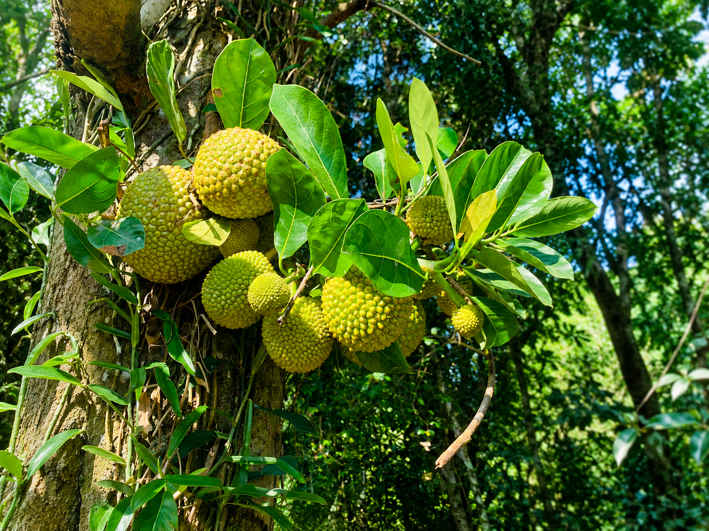 Agro Nature agricultural operations